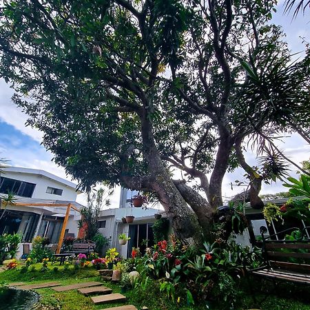 Casa Jardin Del Mango Hotell San José Exteriör bild